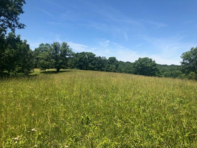 1915 Mount Zion Rd, Frankfort, KY 40601